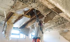 Best Mold Prevention Services  in Ainsworth, NE